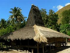 Rumah Adat Ntt Musalaki